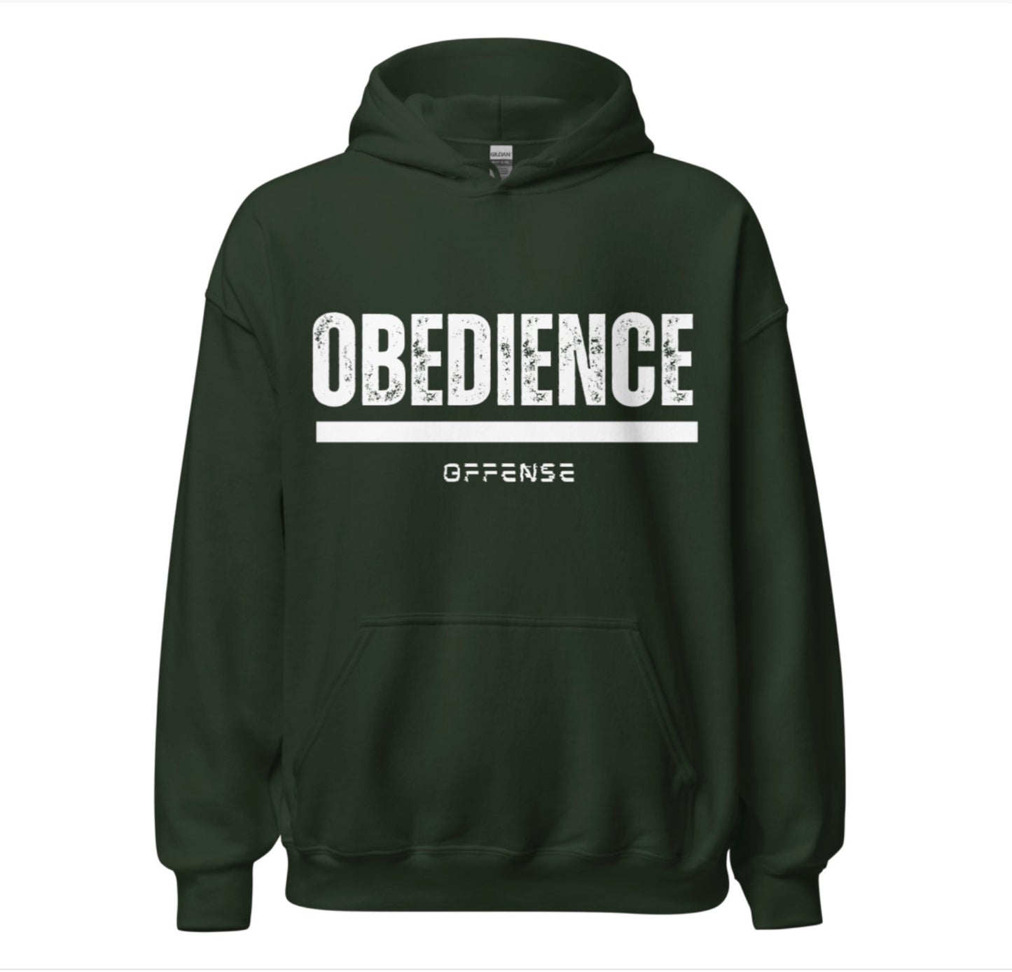 Obedience over offense hoodie